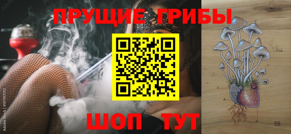 Заволжье  Псилоцибиновые грибы мухоморы  Вход с VPN 