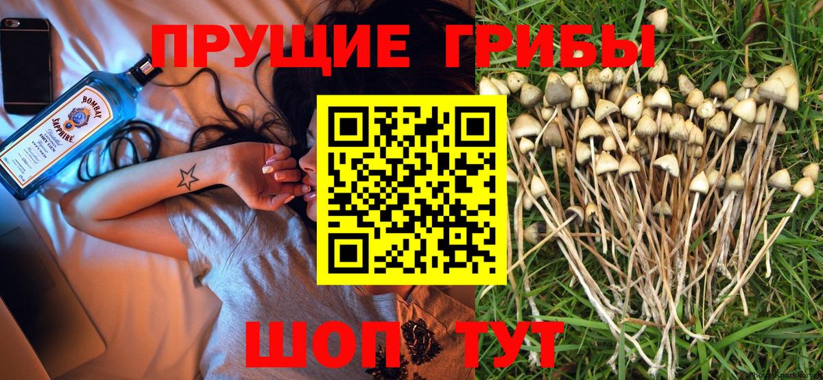 Cocaine Заволжье